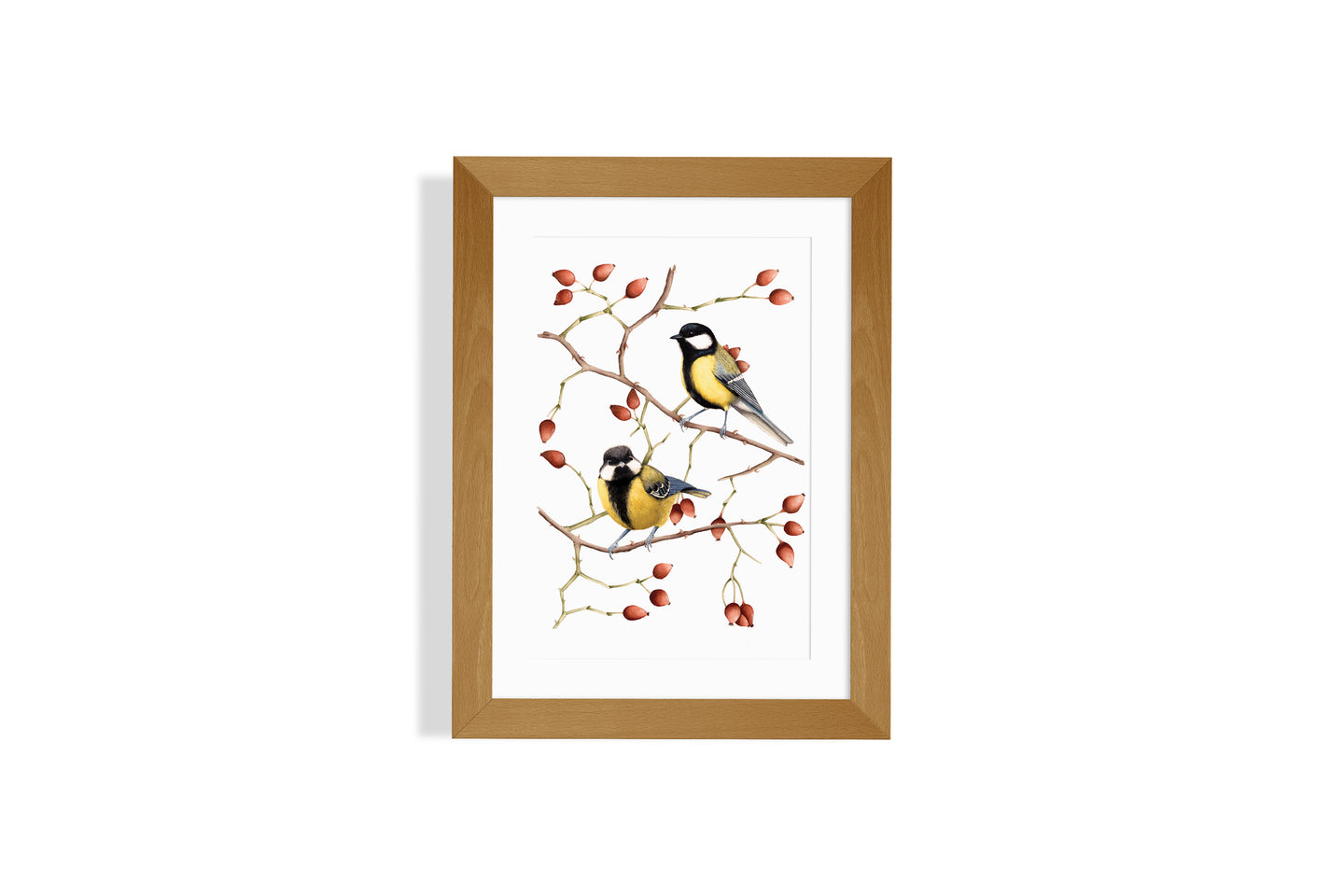 Great tits surrounded by rosehips